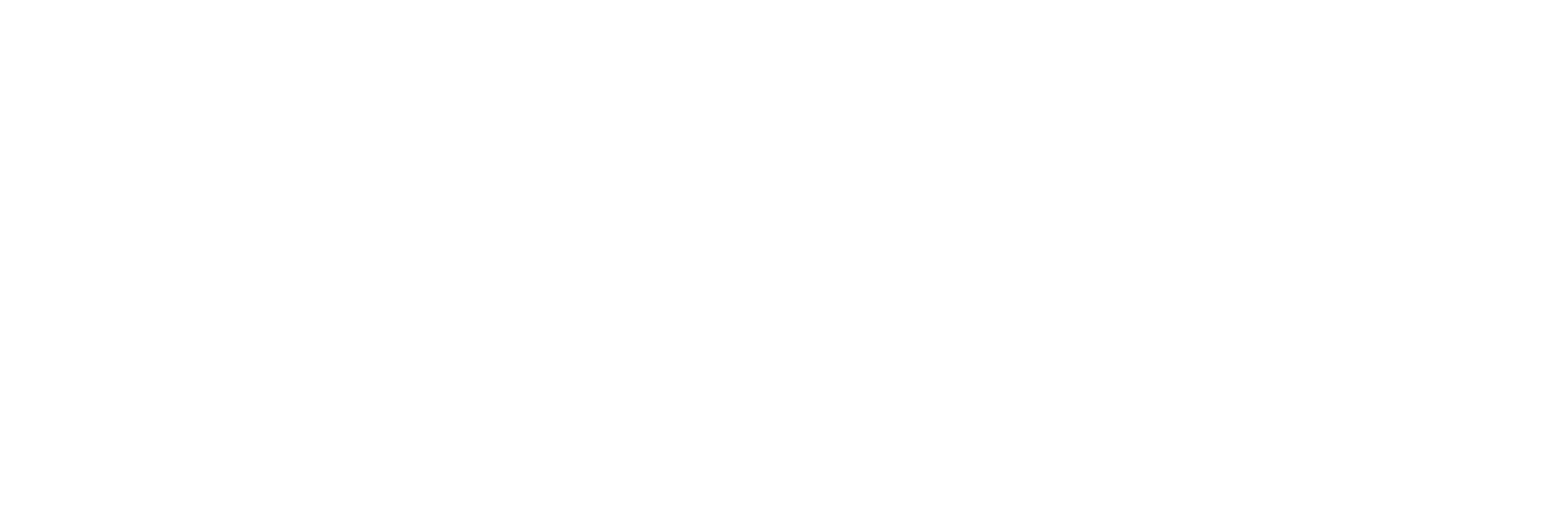 Platinum Performance